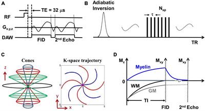 The signal intensity variation of multiple sclerosis (MS) lesions on magnetic resonance imaging (MRI) as a potential biomarker for patients’ disability: A feasibility study